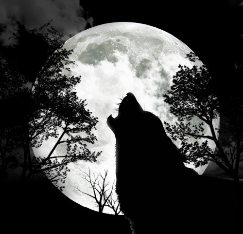 Éste mes podremos ver La Luna Llena del Lobo ¿Qué más nos trae el cielo en  enero? - Meteorología por Luis Vargas
