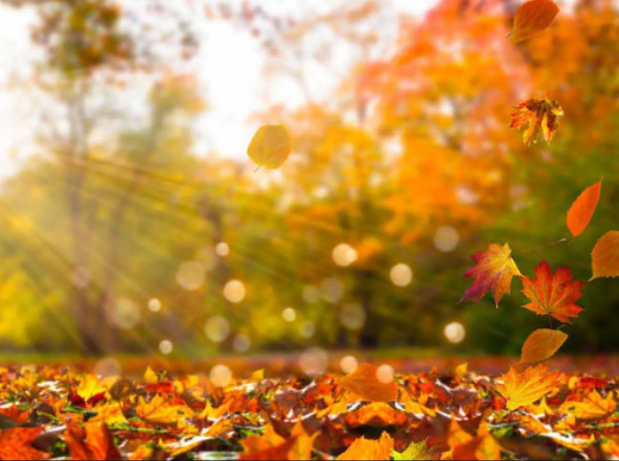 Hoy será el equinoccio de otoño para el hemisferio norte y primaveral en el sur